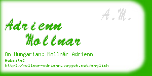 adrienn mollnar business card